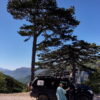 Kimono Sherpa Blue
